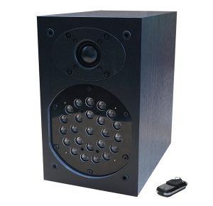 Hidden ultrasonic recording suppressor