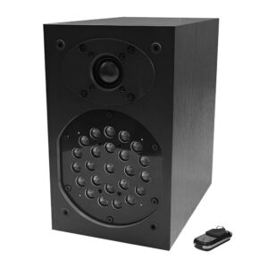 Hidden ultrasonic recording suppressor