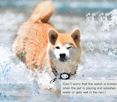Outdoor waterproof locator for sale